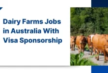 Dairy Farms Jobs in Australia