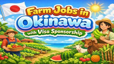 Farm Jobs in Okinawa with Visa Sponsorship