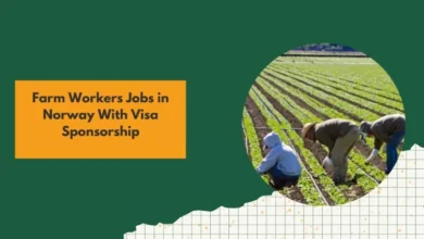 Farm Workers Jobs in Norway