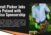 Fruit Picker Jobs in Poland