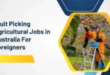 Fruit Picking Agricultural Jobs in Australia