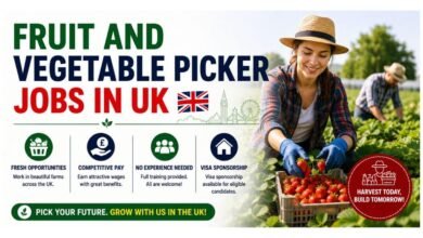 Fruit and Vegetable Picker Jobs in UK