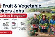 Fruit and Vegetable Pickers Jobs in UK