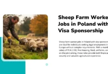 Sheep Farm Worker Jobs in Poland