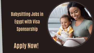 Babysitting Jobs in Egypt with Visa Sponsorship