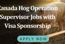 Canada Hog Operation Supervisor Jobs with Visa Sponsorship