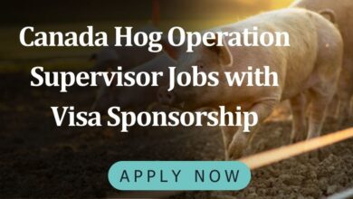 Canada Hog Operation Supervisor Jobs with Visa Sponsorship
