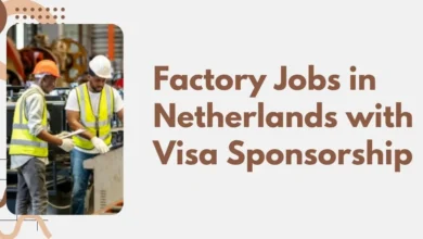 Factory Jobs in Netherlands