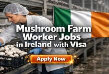 Mushroom Farm Worker Jobs in Ireland with Visa