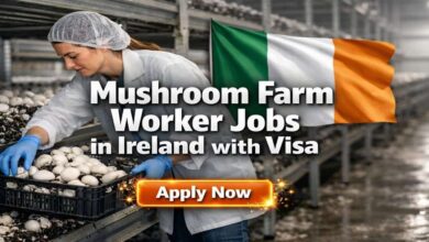 Mushroom Farm Worker Jobs in Ireland with Visa
