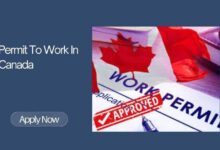 Permit To Work In Canada