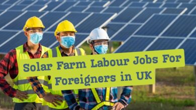 Solar Farm Labour Jobs For Foreigners in UK