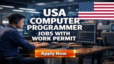 USA Computer Programmer Jobs with Work Permit