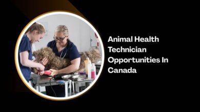 Animal Health Technician Opportunities In Canada