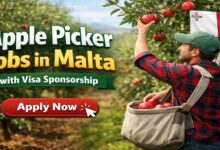 Apple Picker Jobs in Malta with Visa Sponsorship