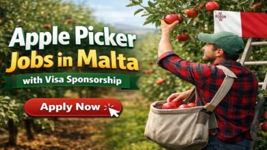 Apple Picker Jobs in Malta with Visa Sponsorship