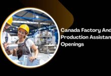 Canada Factory And Production Assistant Openings