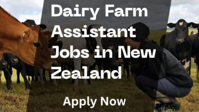 Dairy Farm Assistant Jobs in New Zealand