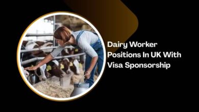 Dairy Worker Positions In UK With Visa Sponsorship