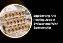 Egg Sorting And Packing Jobs In Switzerland With Sponsorship
