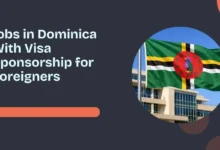 Jobs in Dominica