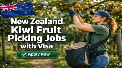 New Zealand Kiwi Fruit Picking Jobs with Visa