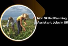 Non Skilled Farming Assistant Jobs In UK