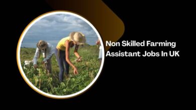 Non Skilled Farming Assistant Jobs In UK