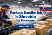 Package Handler Job in Slovakia for Foreigner