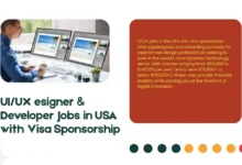 UI/UX Designer & Developer Jobs in USA with Visa Sponsorship