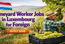 Vineyard Worker Jobs in Luxembourg for Foreign