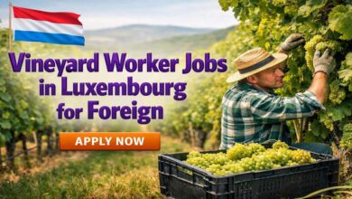 Vineyard Worker Jobs in Luxembourg for Foreign