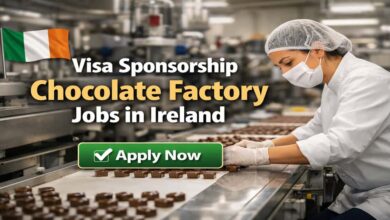 Visa Sponsorship Chocolate Factory Jobs in Ireland