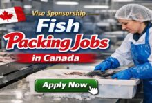 Visa Sponsorship Fish Packing Jobs in Canada