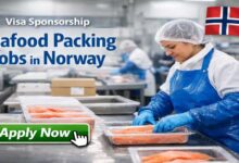 Visa Sponsorship Seafood Packing Jobs in Norway