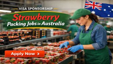 Visa Sponsorship Strawberry Packing Jobs in Australia