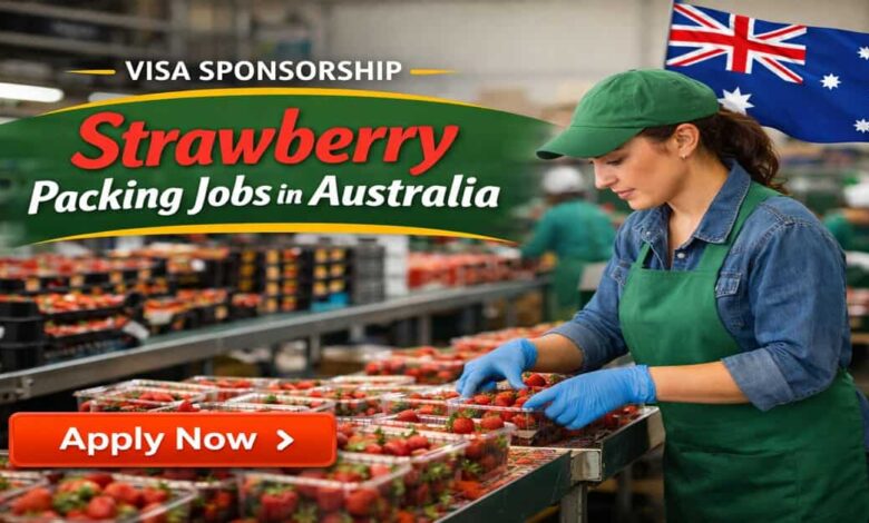 Visa Sponsorship Strawberry Packing Jobs in Australia