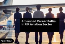 Advanced Career Paths In UK Aviation Sector