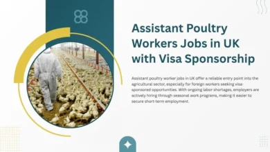 Assistant Poultry Workers Jobs in UK
