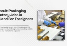 Biscuit Packaging Factory Jobs in Poland