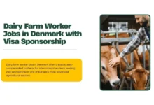 Dairy Farm Worker Jobs in Denmark