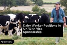 Dairy Worker Positions In UK With Visa Sponsorship