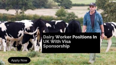 Dairy Worker Positions In UK With Visa Sponsorship