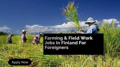 Farming & Field Work Jobs In Finland For Foreigners