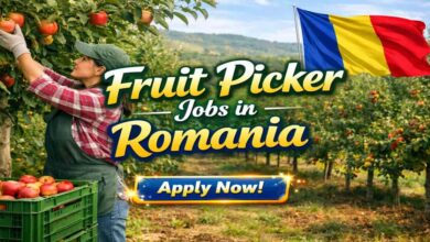 Fruit Picker Jobs in Romania