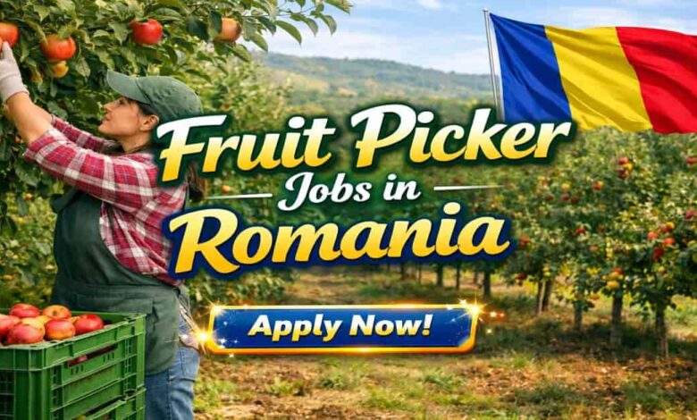 Fruit Picker Jobs in Romania