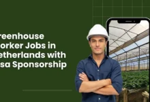 Greenhouse Worker Jobs in Netherlands