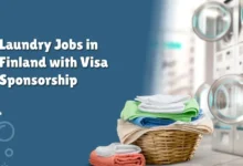 Laundry Jobs in Finland