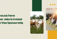Livestock Farm Helper Jobs in Ireland