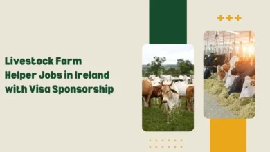 Livestock Farm Helper Jobs in Ireland